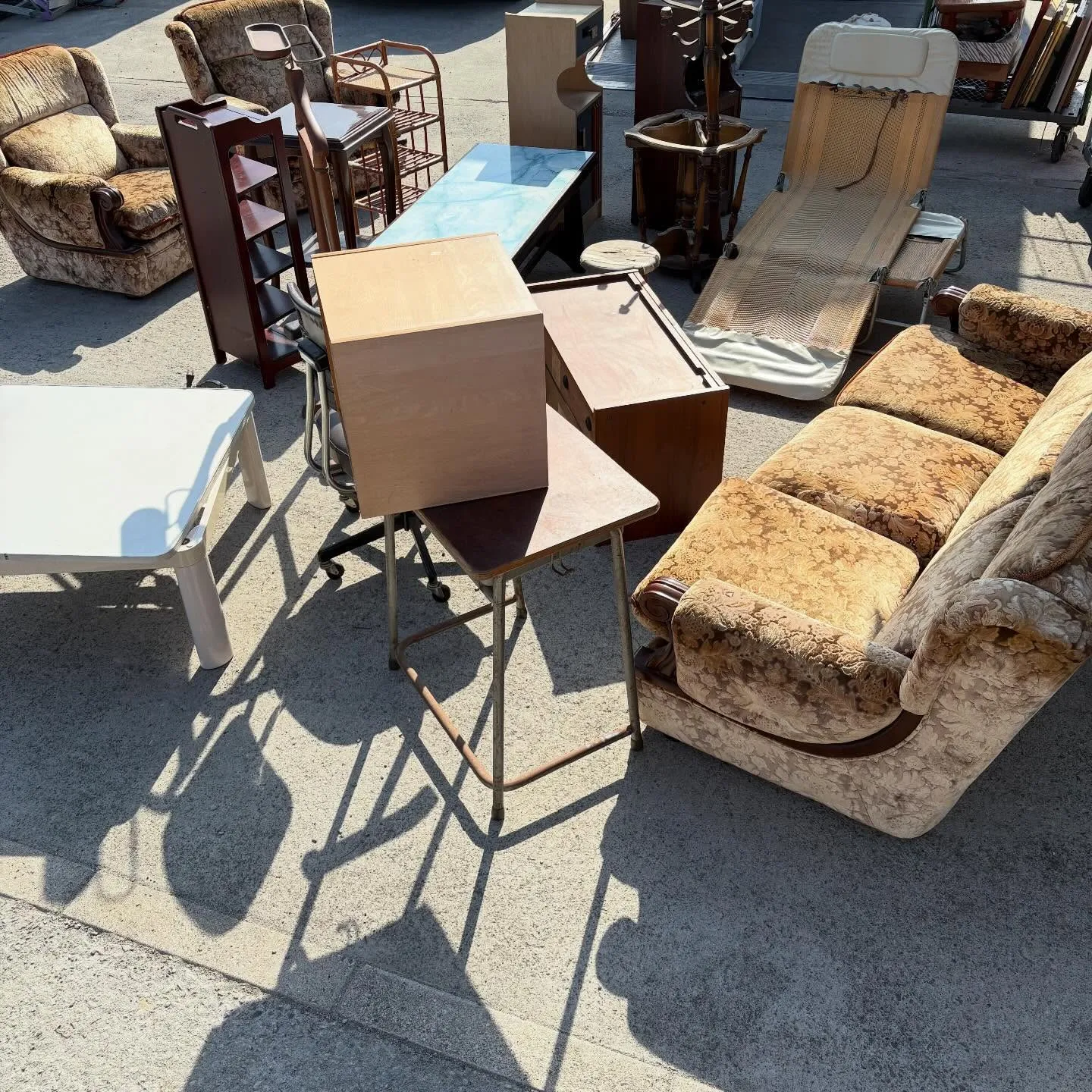 今日は快晴で、回収作業がとても順調に進みました☀️