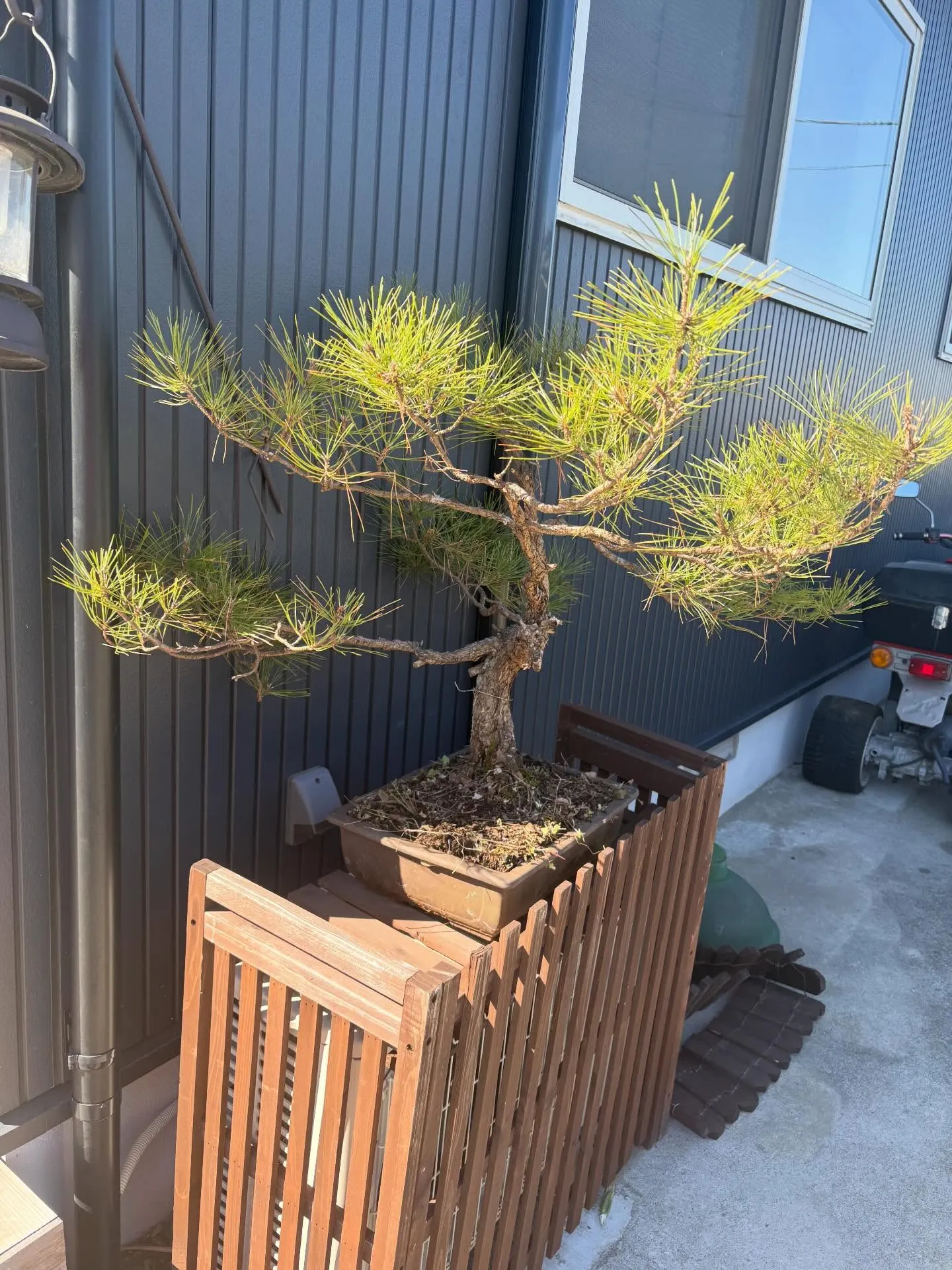 今日は天気が良かったので、回収した物の清掃をしました☀️！明...