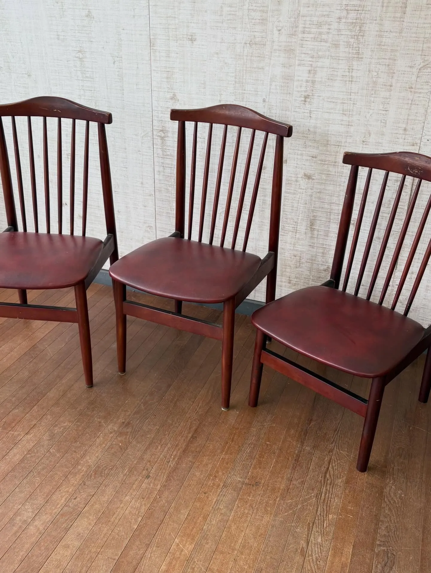 今日は素晴らしい一日でした🌞。